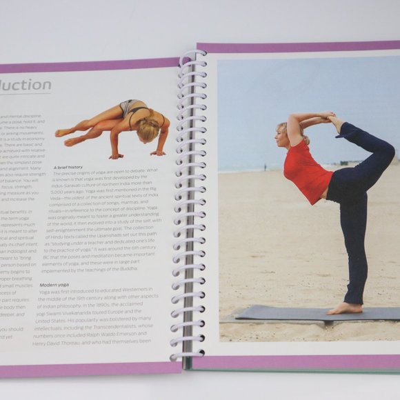 Anatomy of Fitness 501 Yoga Exercises - Picture 2 of 10
